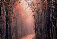 足球豪门巅峰对决，掀起比赛狂潮