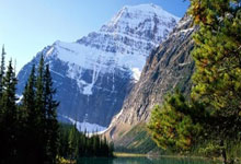 新疆队经过激烈角逐，最终击败对手